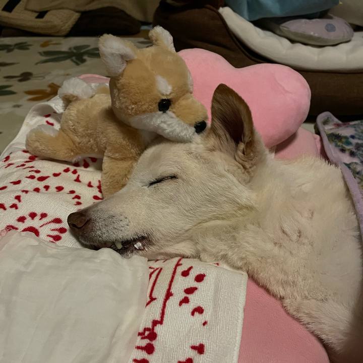 2f6365cc e4e9 4886 9bff 47fae87df016 1679062704828