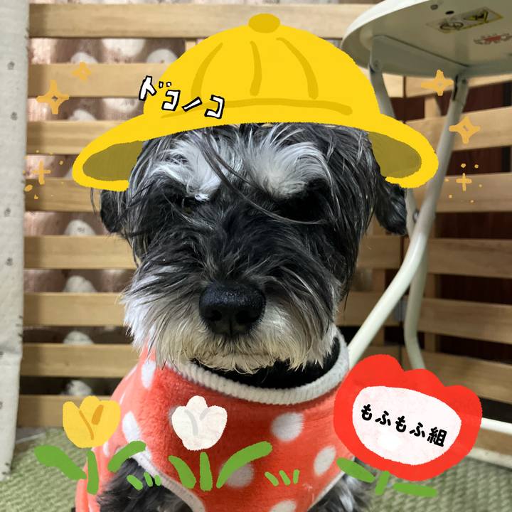 2f638ea0 e116 404e ab7b 69f77d5e944a 1712236762208