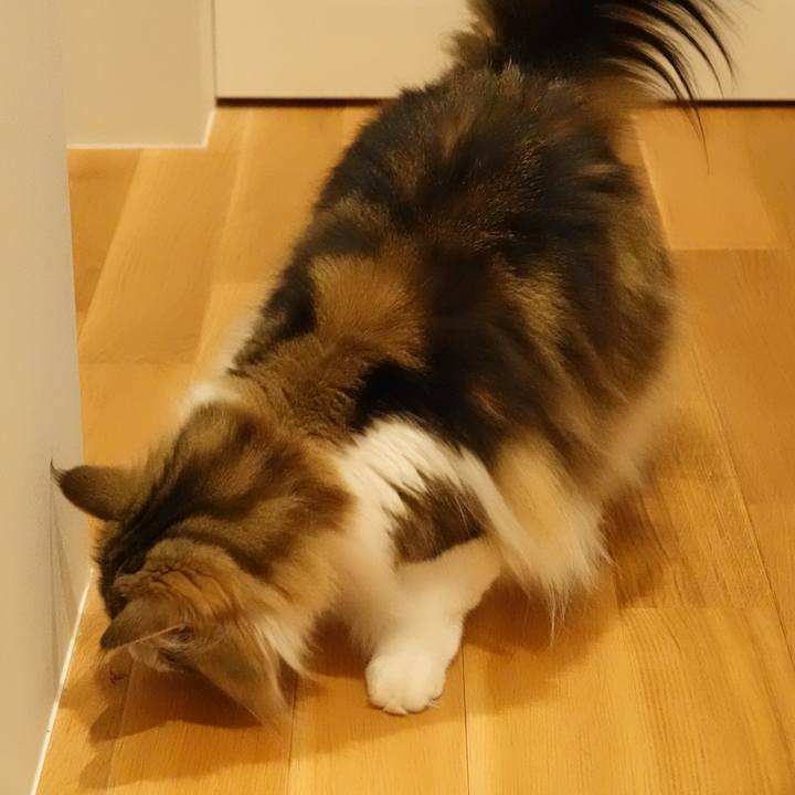 2f63ad98 7c33 46f1 9463 64129b897371 1560858035778