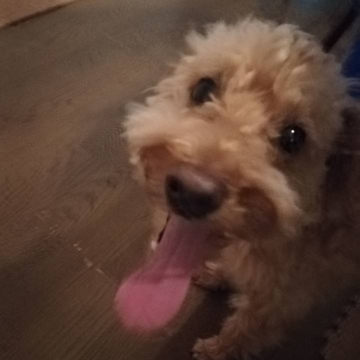 2f63b3bc 6038 4b05 8227 a83f1e39a1cc 1561159911332