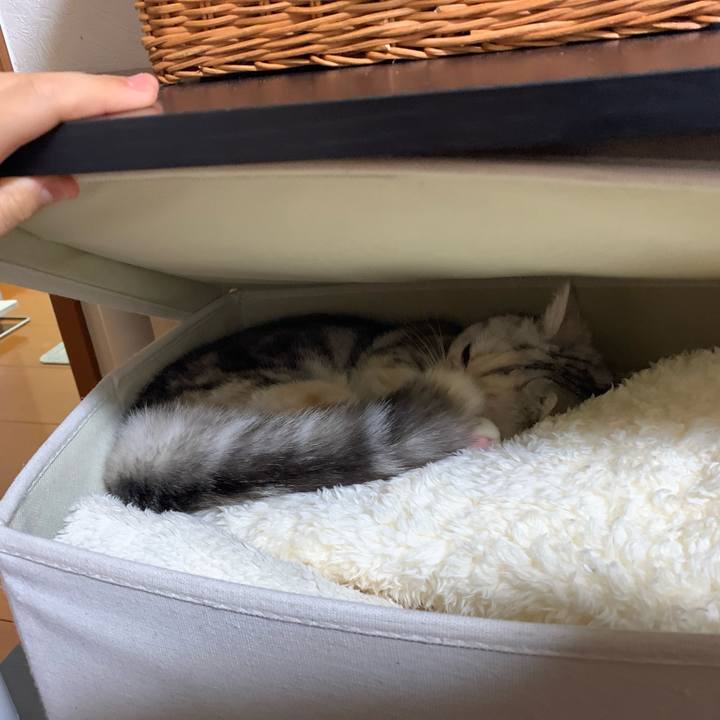 2f63bceb ef02 4305 8a72 532bc544d9d4 1707819135648