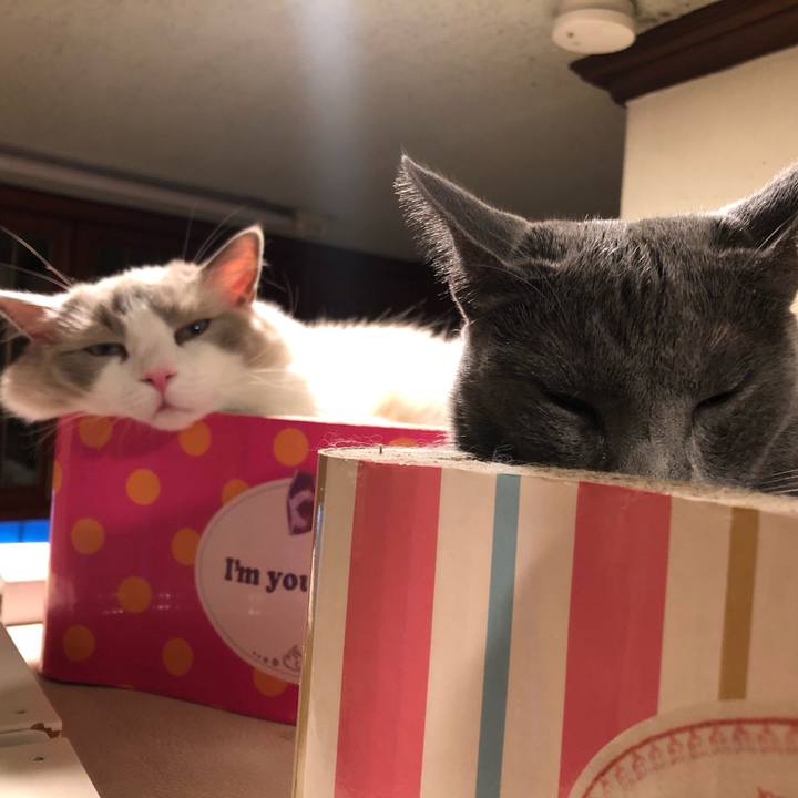 2f63cd20 7e1a 4874 bcfd 98568d206d9b 1564066015039