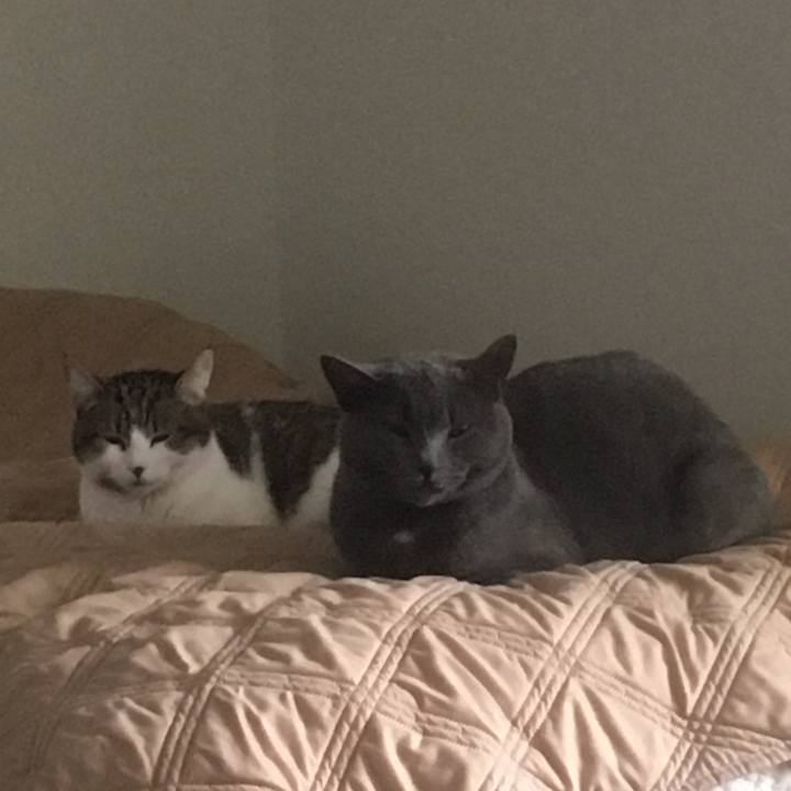 2f642fbf 674a 49b1 b43b 76a43eb8ccbe 1645499547214