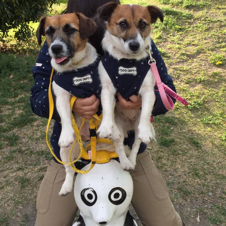 2f644653 9037 44f7 b305 e5955a1c9973 1523782654711