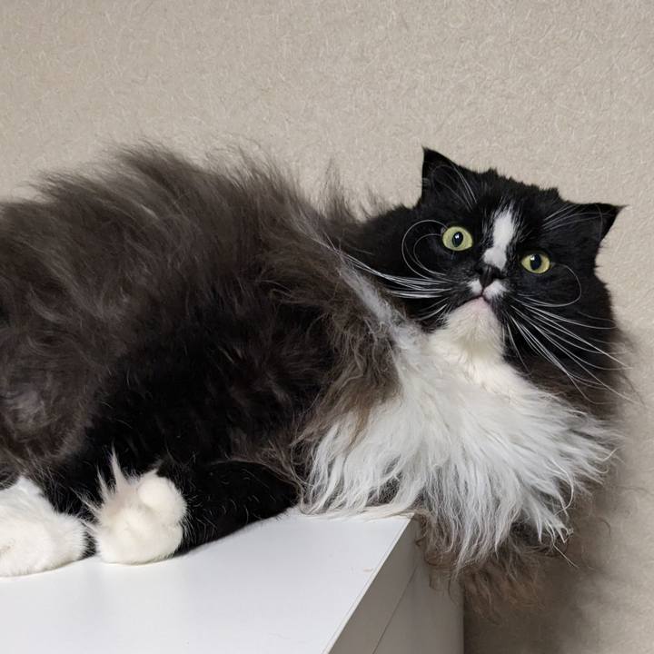 2f647b10 935c 4c61 ae29 df7a02d3badc 1733259345049