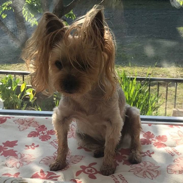 2f6492f8 3963 43d1 82e2 718ed9c571c7 1560070960824