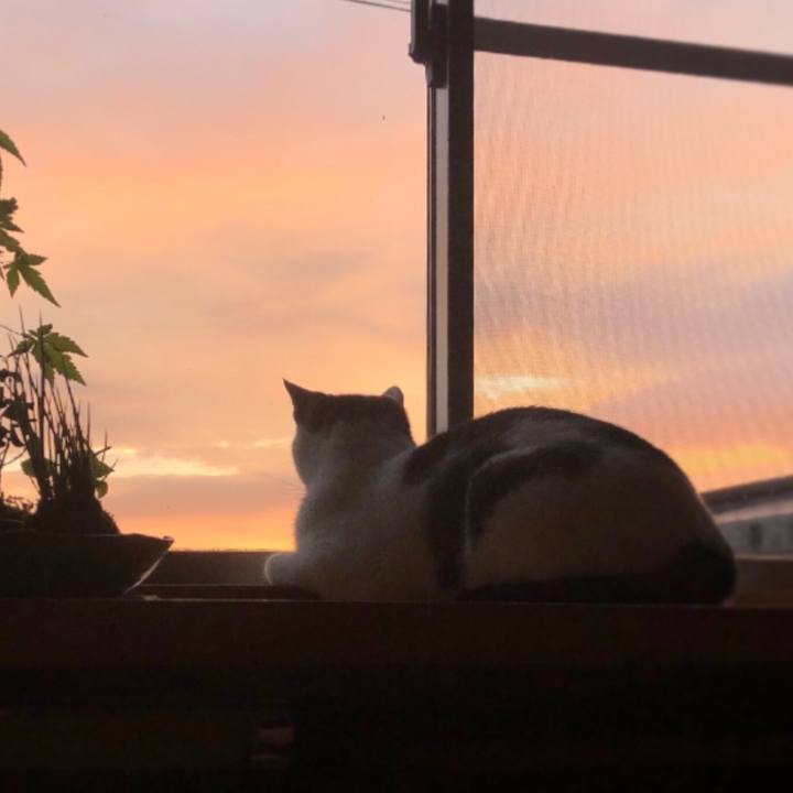 2f64bf7c 0091 4df1 b2d6 2257e0ce4236 1599253154504