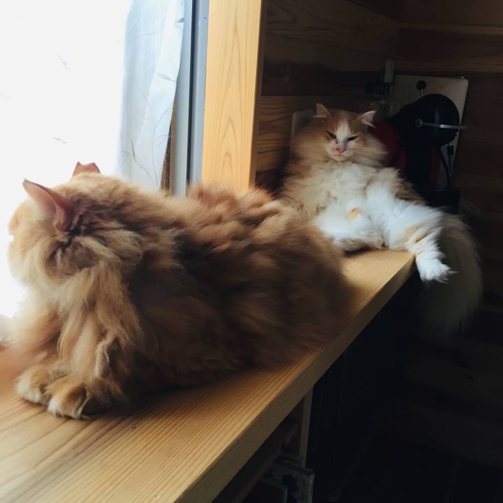 2f64f12f e443 41a2 bbf4 892125efb399 1571438753880