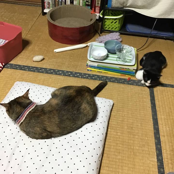 2f650bef 7f96 4ea9 957e 833bb2e563e6 1626518895120