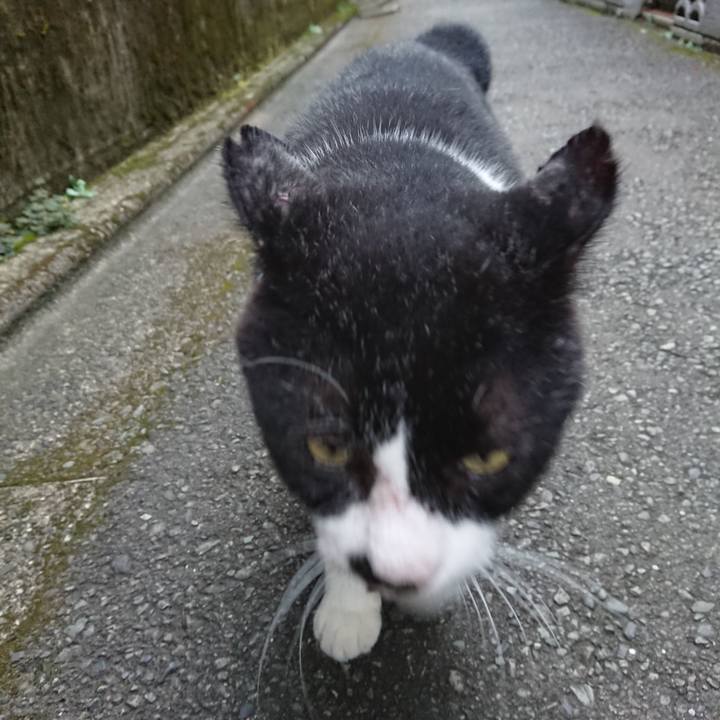 2f65128b 4bcc 428a a4e7 2e803be52354 1599740914721