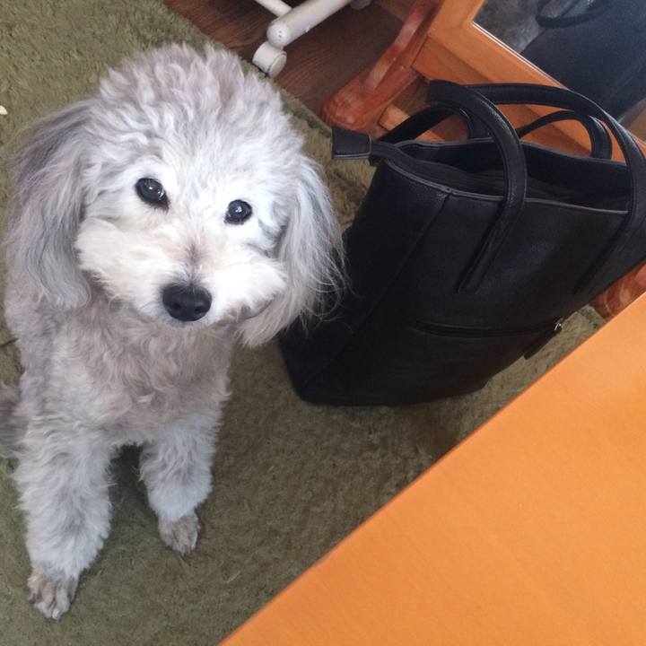 2f652de6 4780 44b0 80c0 f57fe6ab8e83 1517180267567