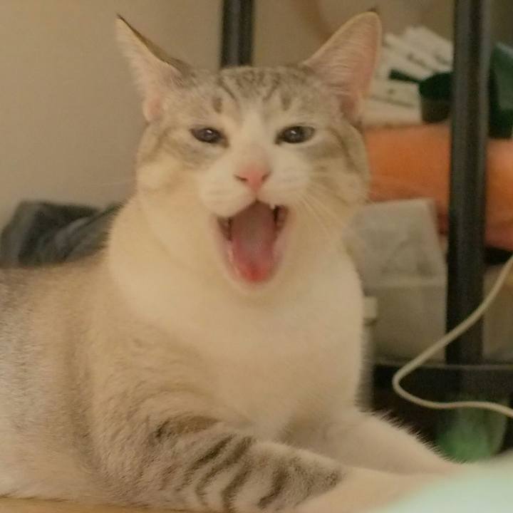 2f656a0d bf98 4369 85d9 d4ed8fe5cfa2 1533446323040