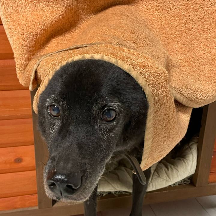 2f659bec 7cf7 42bf a122 1f2b1c82f5b2 1696523758139