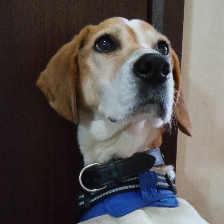 2f659e77 d6e7 41dc 8606 ec258a57be95 1742544557176