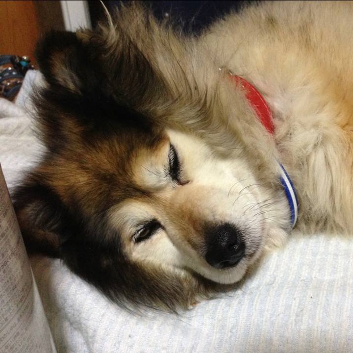 2f659ecd bb4e 4f09 826c 5b5e6c031d2f 1641297974361