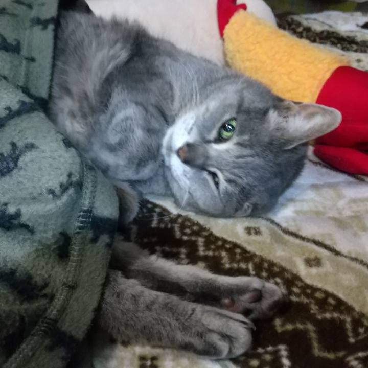 2f65bb1d dee2 4a30 a9d2 e928692c054c 1678107777653