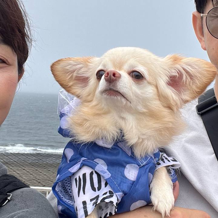 2f65c8ab ad83 47c5 97f4 ceea25e6eee1 1754889933170