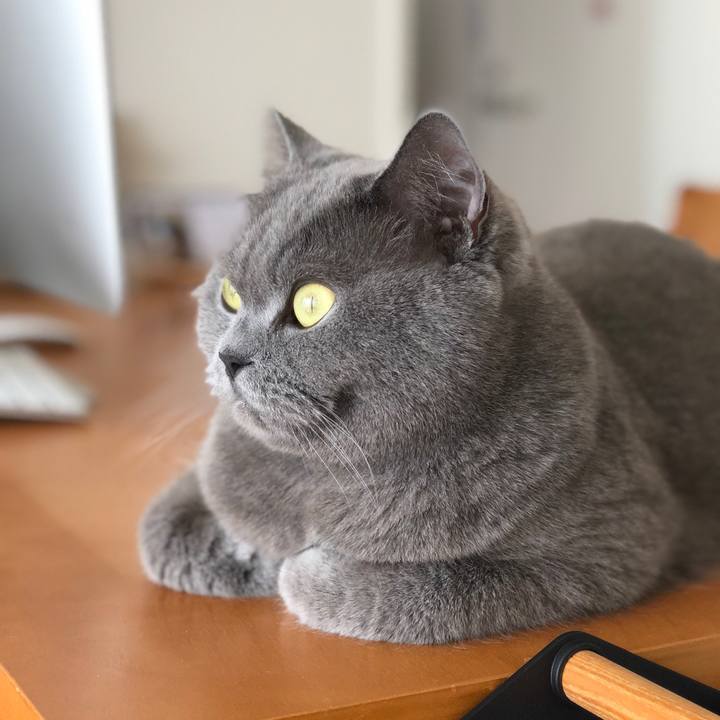 2f6604ba 0bc6 4d46 af71 d4045388bbd1 1525174564748