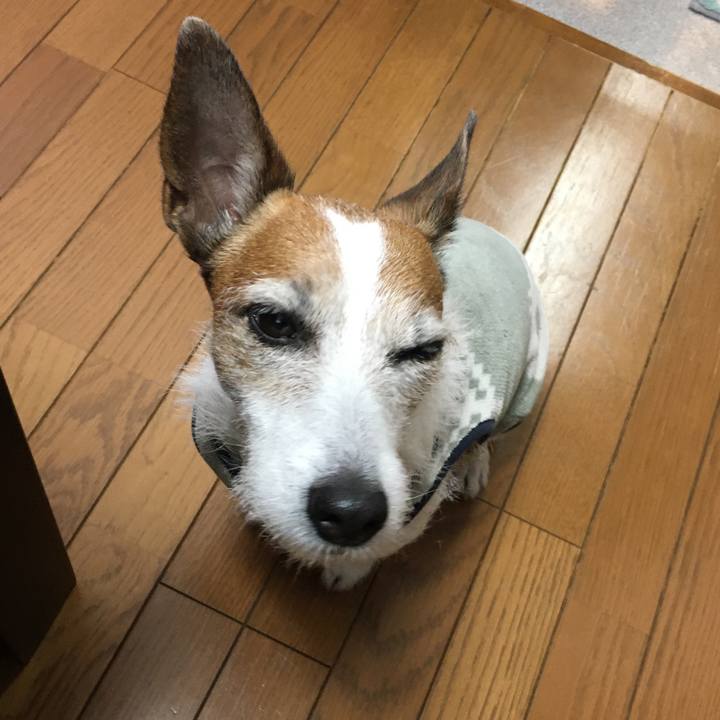 2f661058 045a 4443 b452 d087fd02c71a 1646441091721