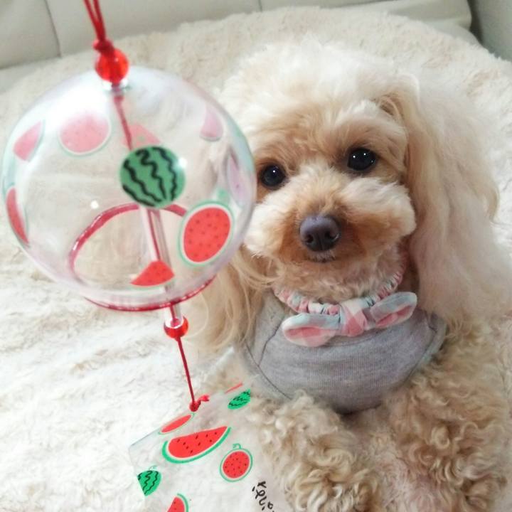 2f663f59 328c 4799 9c05 39c0bb2330d9 1522841193681