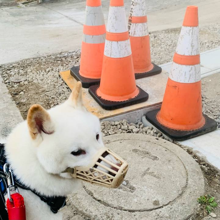 2f666bb1 88e0 4a5a 9093 e22cfa953fd1 1662325124388