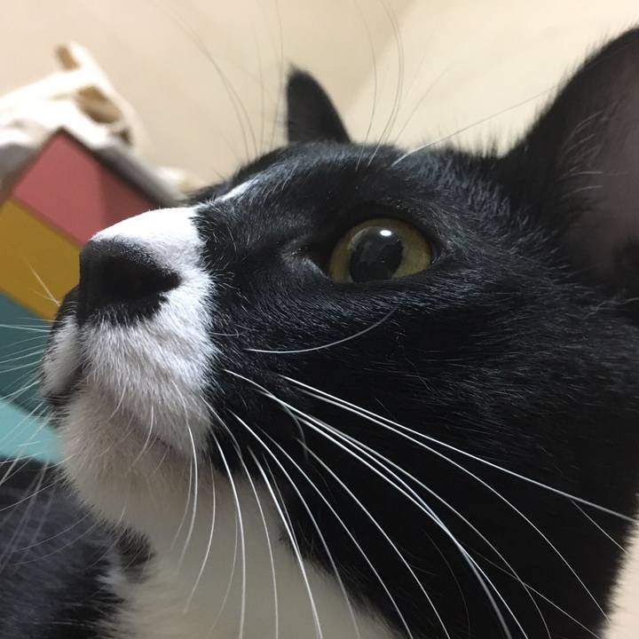 2f66dca4 f8e7 458f 9881 9de98815e0e6 1510581128977