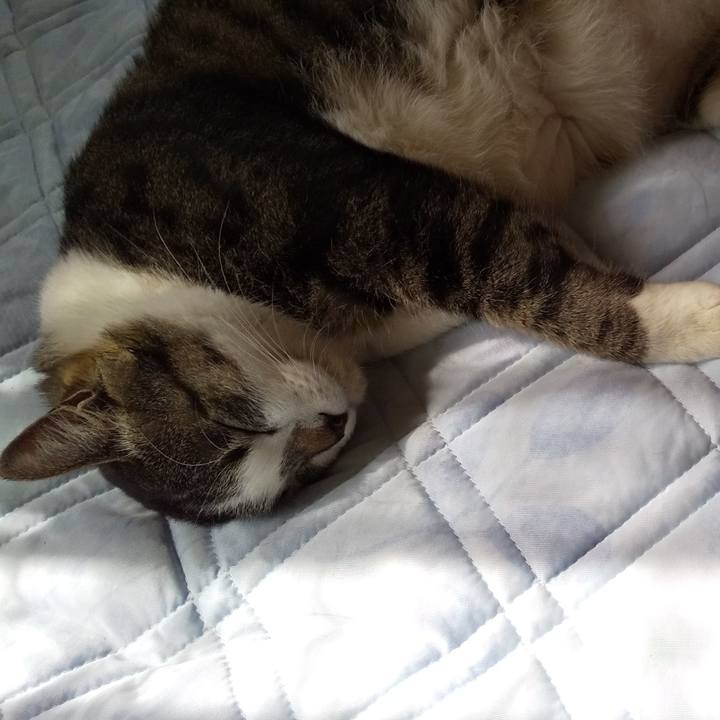 2f66e39f cc5c 457b 9088 b7bb4144f45c 1654386294799