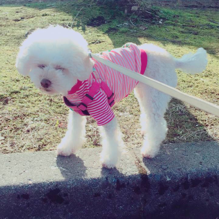 2f672b0e c9c1 4017 b43b 7ec421f4a9dc 1520296746651