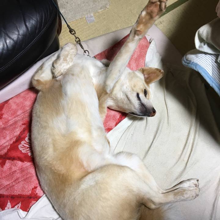 2f672ef5 6314 4357 a2bd 138405836851 1524063757021