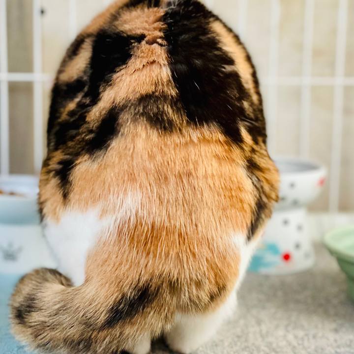 2f6731a9 d0d2 4140 93f5 52b48c83969f 1607308410680