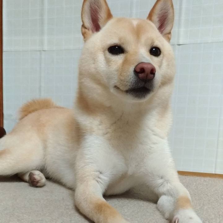 2f673f6a 1d59 4ea7 b902 d36d7896fe72 1530010628354