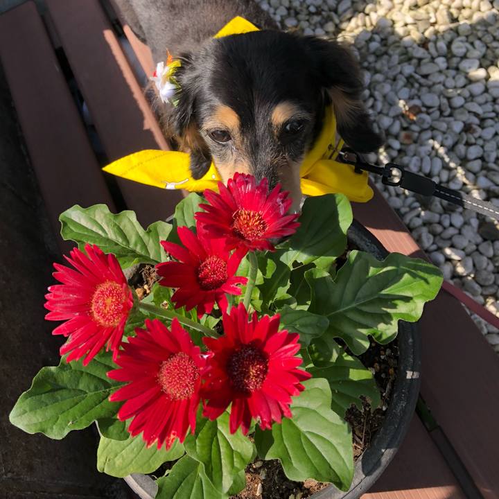 2f674fd1 36cb 4d94 816c 9e03a31e0d3d 1591316183009