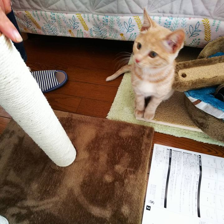 2f6750f9 e2fa 4160 9173 9b61e0c2f049 1541901134873