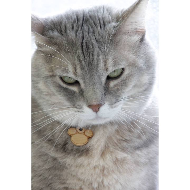 2f67748f 1bf9 45d7 adf7 a93533a1a5e8 1637991043290