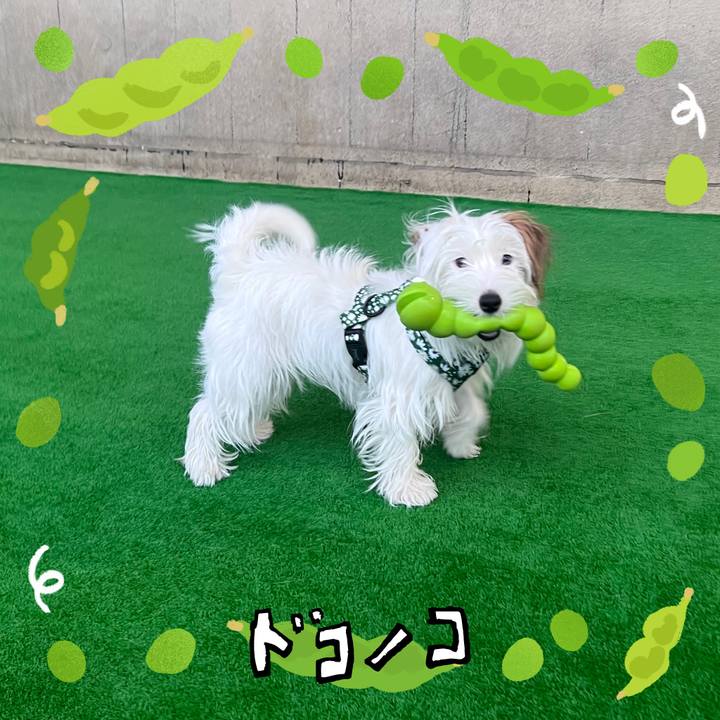 2f678a47 a374 4c8a 914a 7dd07bde2f8e 1720789148762