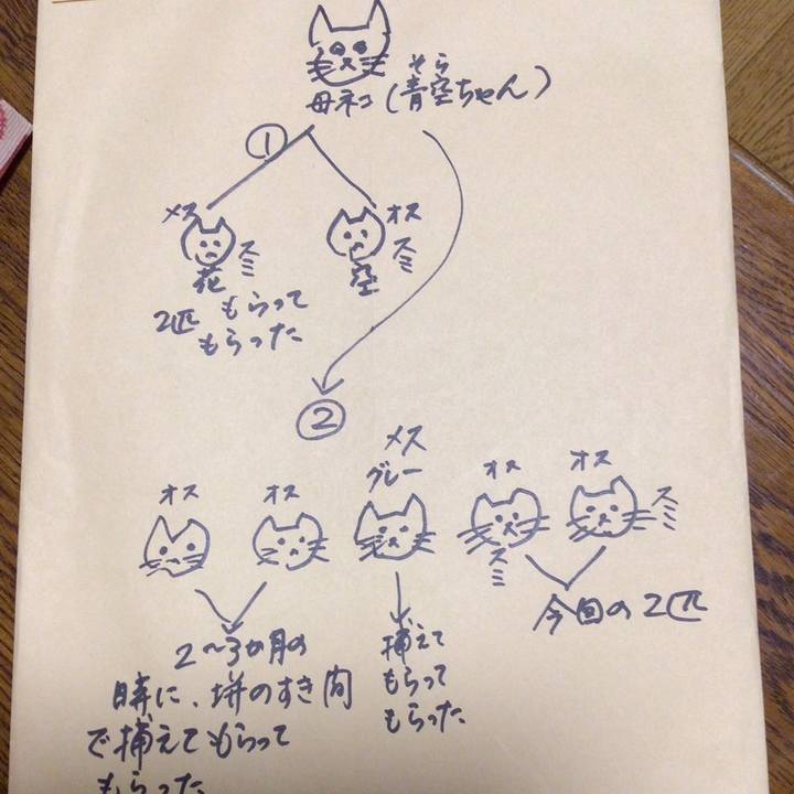2f6794f2 78c2 4856 98a6 48a69f0b16d3 1740057852605