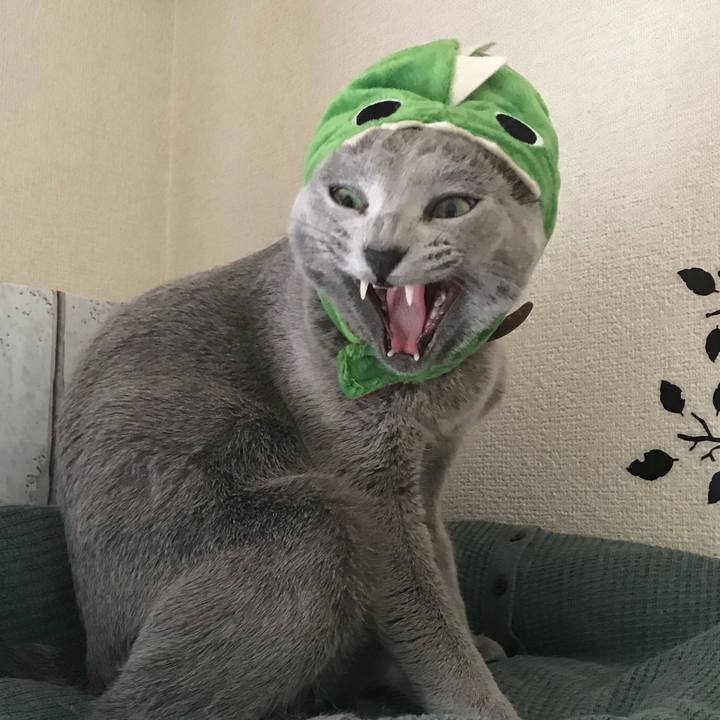 2f67a745 94ce 4a42 a08c 2f19111bba56 1533449589127