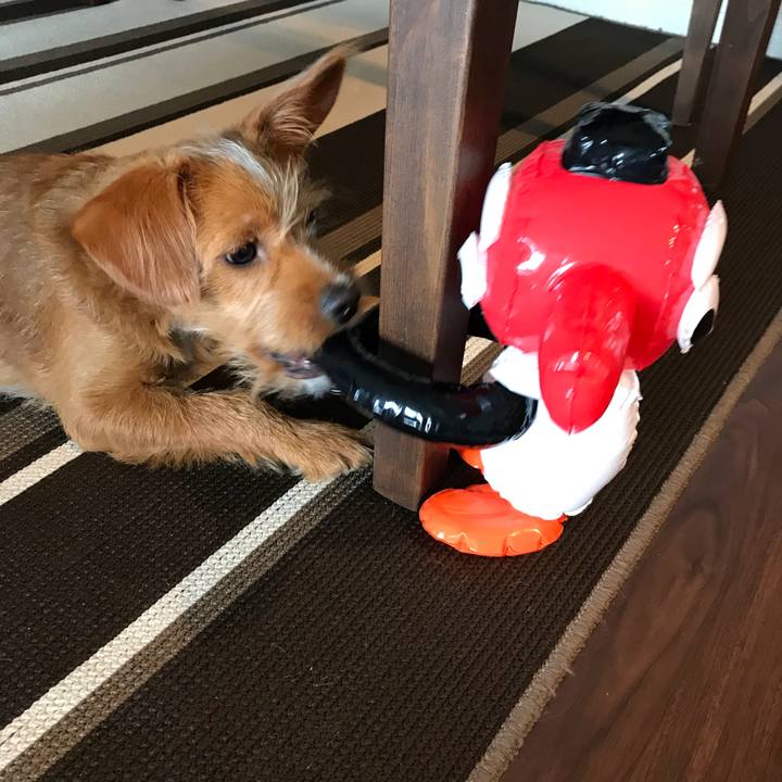 2f67d2c7 cd44 4810 afc7 ab9989fc2e3d 1529908176922