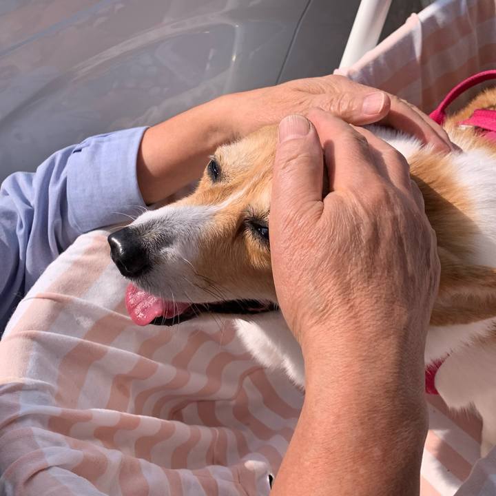 2f67da60 d4dd 422b ab26 924ed6903198 1714010031900