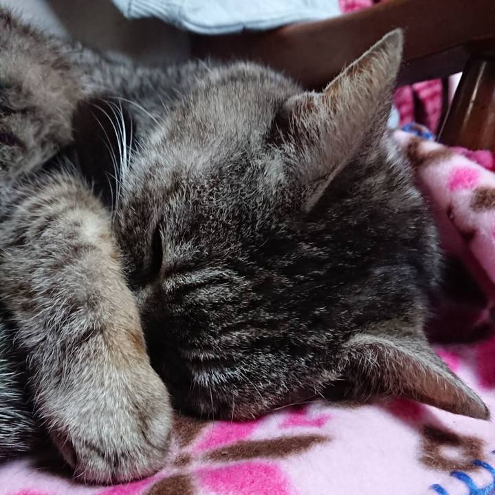 2f67f04d a917 4d57 9908 9166d90f50b4 1553903871049