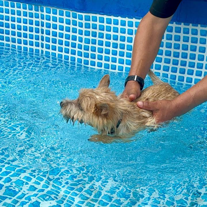 2f682a23 79fc 4129 9eb7 2d17f323c7bc 1719383763390