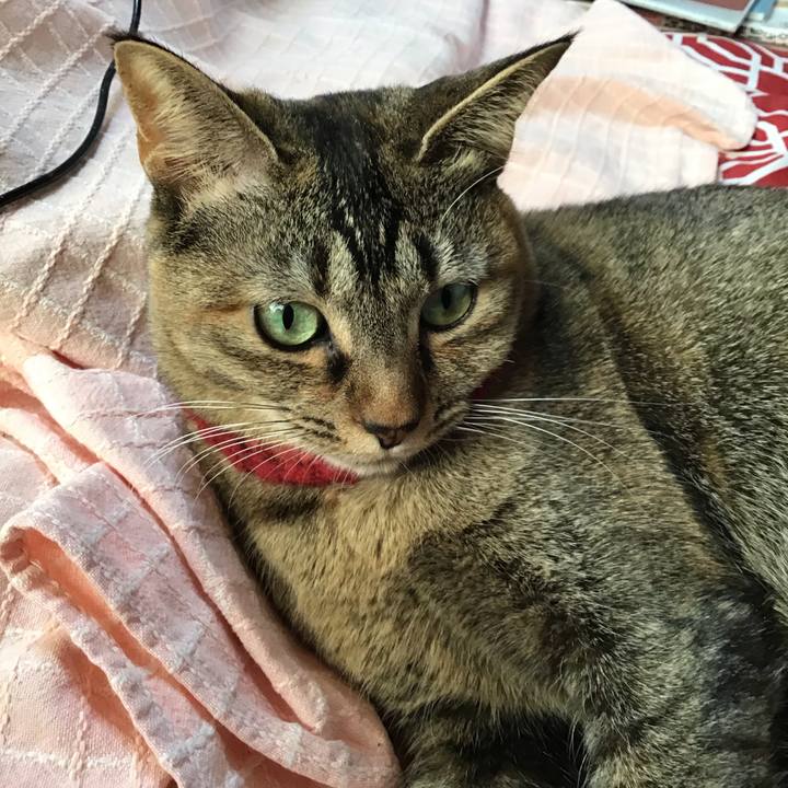 2f684fe7 1d25 45eb 8eb9 dc42fd9ee0fb 1611045402924