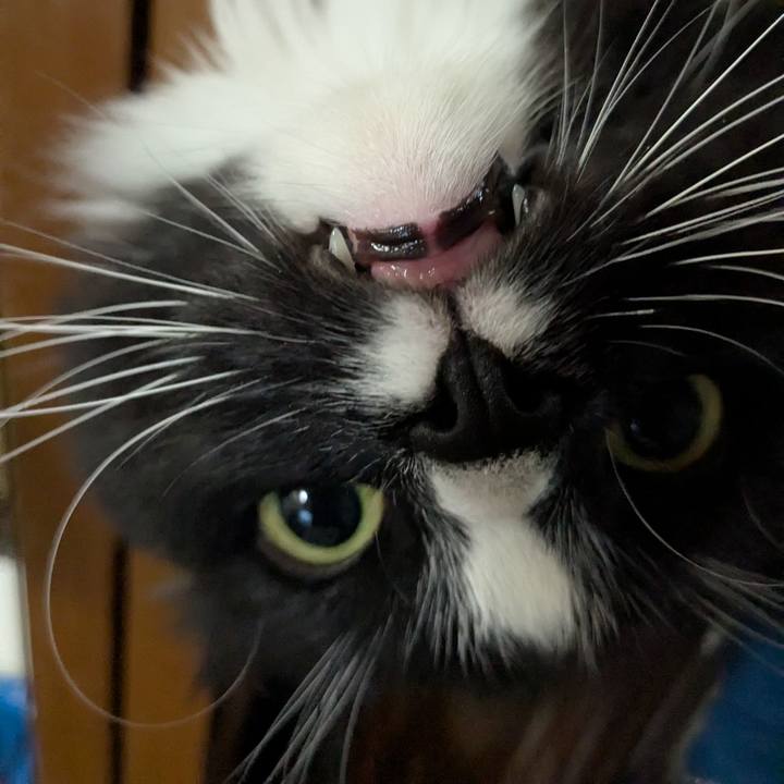 2f686a01 e756 4e0f 86e5 9ed7b88e03a0 1743075540485