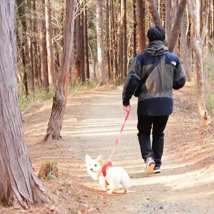 2f687371 b2d8 4245 a45b 606fde8ce85f 1551526738320