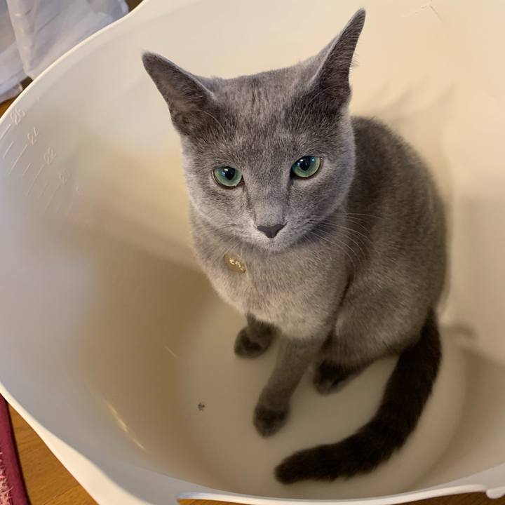 2f687501 278a 42cc 8944 03ae6d5b1e96 1576196898452