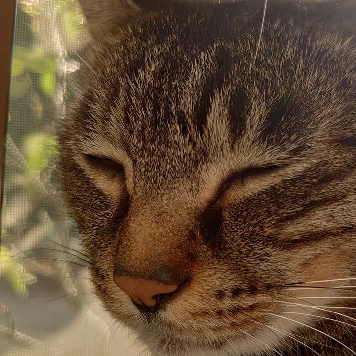 2f689b7b bef2 4355 94af c321f6d770a2 1634881964663