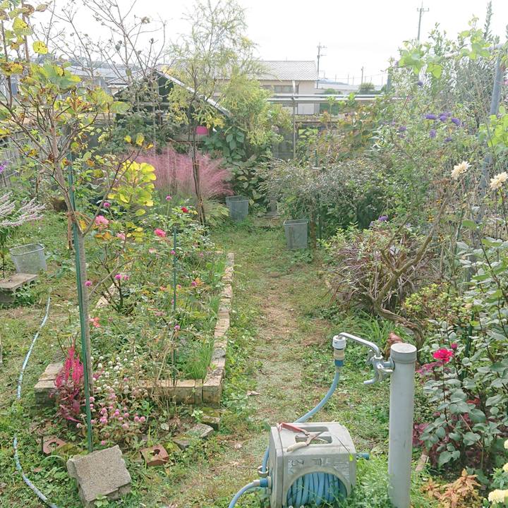 2f68a3e0 f4ec 4f87 82d6 e6dc33efdbb8 1602468491897