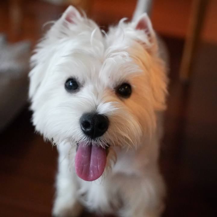 2f68b17b f04a 4ed4 8a75 e53c1a444ec6 1528716535244