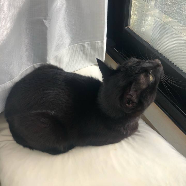 2f68d908 0d1b 4b69 95c6 504f5a72ff3a 1613808239218