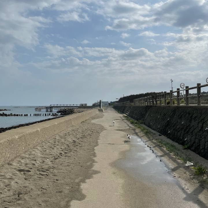 2f68f6c1 15e0 4c06 87fa c84f53bbe2ab 1620435329068